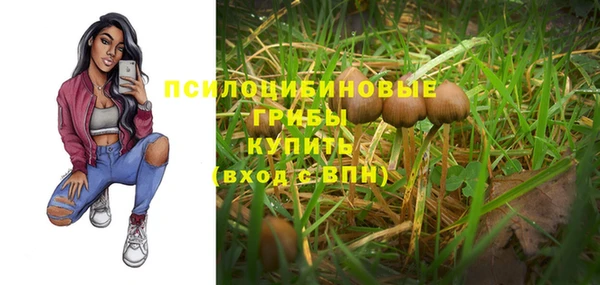 мет Абинск